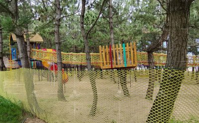 丛林冒险攻略图文 模拟人生4丛林冒险玩法