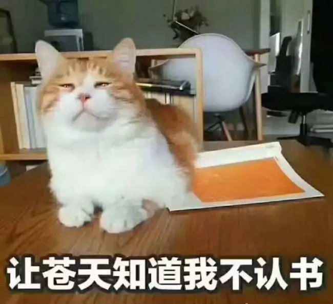 天下霸图秘籍代码大全