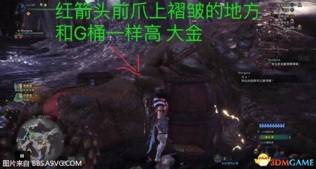 怪物猎人世界大小金是什么