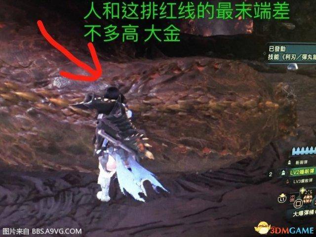 怪物猎人世界大小金是什么