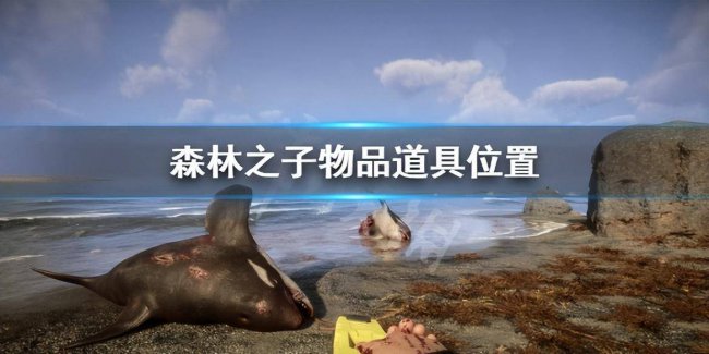 森林手电筒位置