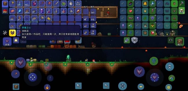 泰拉瑞亚专家模式专属物品最好