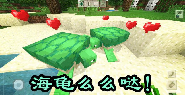 我的世界海龟蛋怎么孵化出来