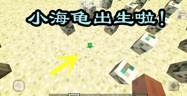 我的世界海龟蛋怎么孵化出来