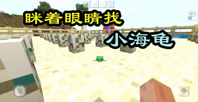 我的世界海龟蛋怎么孵化出来