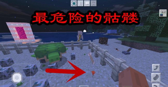 我的世界海龟蛋怎么孵化出来