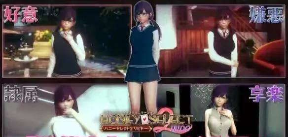 甜心选择2mod怎么用