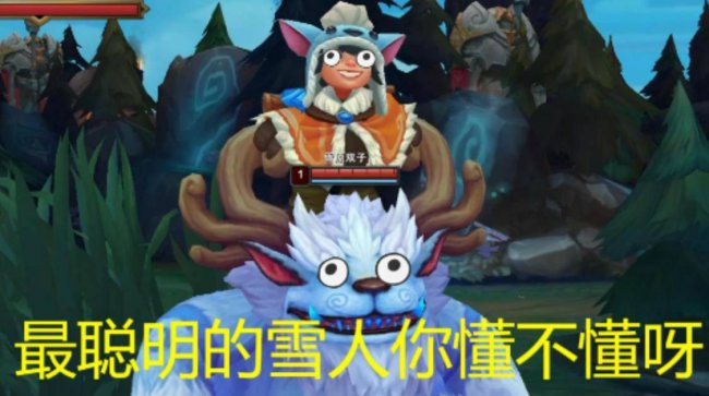 lol十大冷门英雄排名