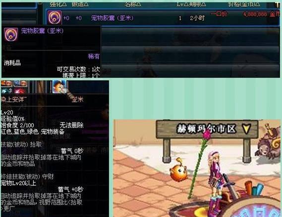 dnf迷你黑暗武士宠物外观怎么获得