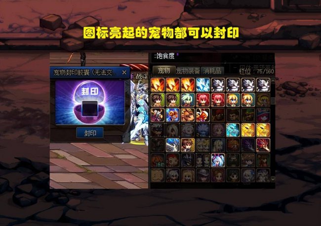 dnf可交易宠物排行怎么搜索