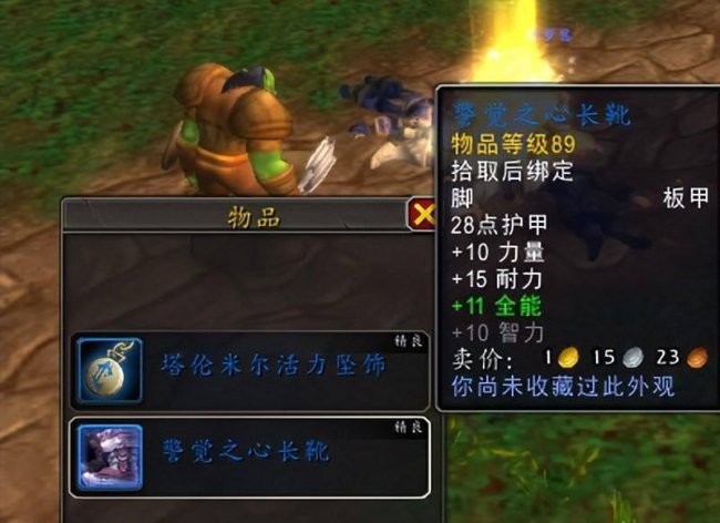 魔兽世界好看的板甲幻化有哪些