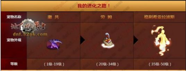 dnf贝雷斯宠物外观图片