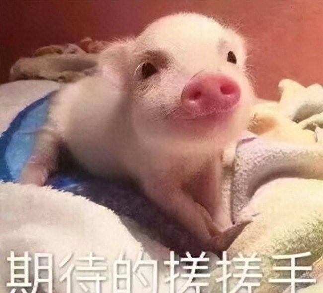 最火网游手游排行榜前十名