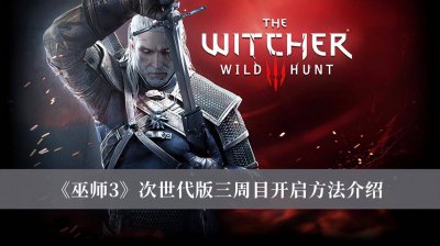 巫师3怎么开二周目模式 关于巫师3年度版最强流派加点