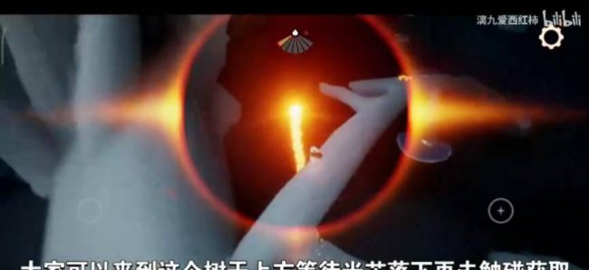 光遇橙色光芒在哪里收集