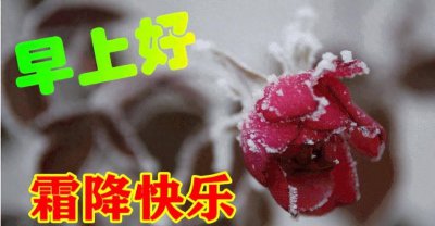 霜降问候语大全 简短降温温馨提示语
