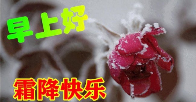 霜降问候语大全