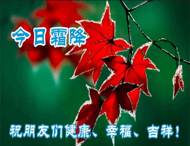 霜降问候语大全