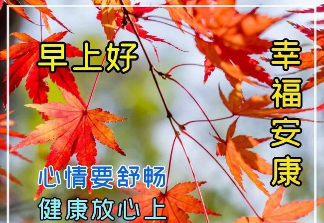 霜降问候语大全