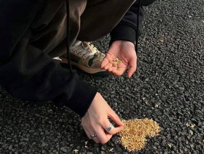 重阳节文案怎么写 赞美重阳节的最好句子