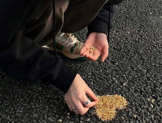 重阳节文案怎么写