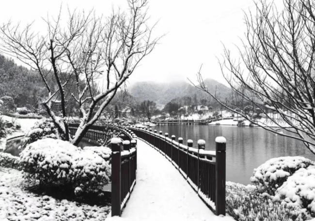 描写雪的语句摘抄