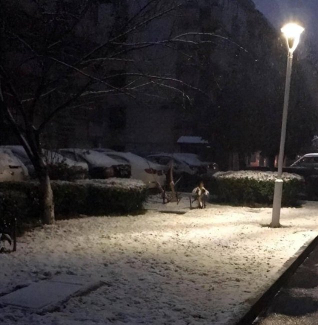 描写雪的语句摘抄