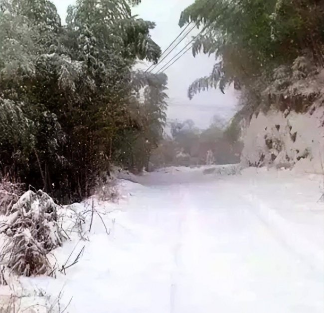 描写雪的语句摘抄