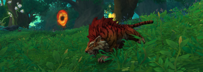 魔兽世界猎人灵魂兽哪个好