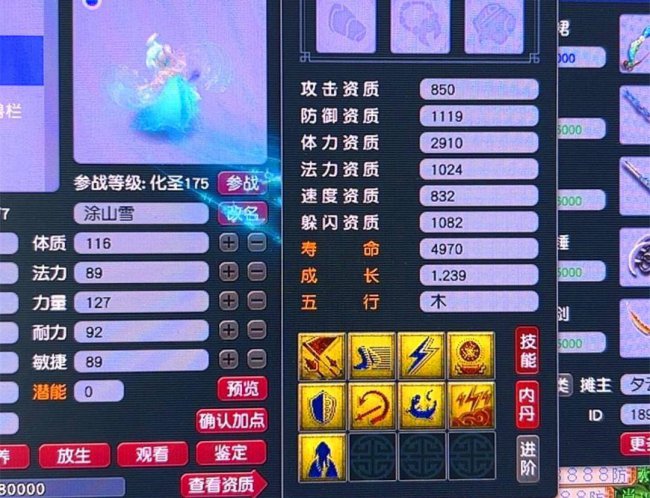 梦幻西游摇钱树苗种植攻略最新