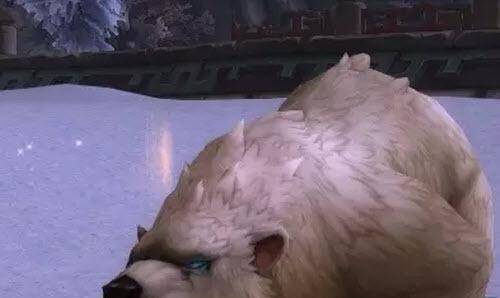80级兽王猎人天赋怎么点
