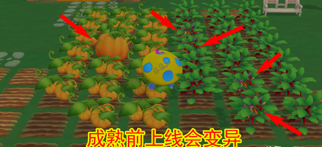 摩尔庄园变异植物攻略大全