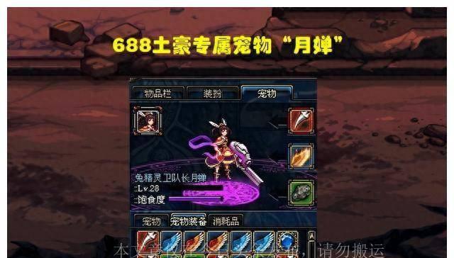 dnf绝版宠物排行榜最新