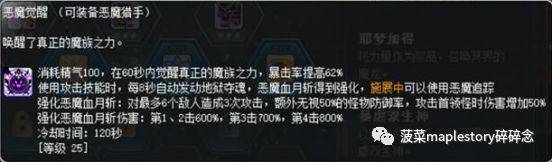 冒险岛恶魔猎手超级技能加点