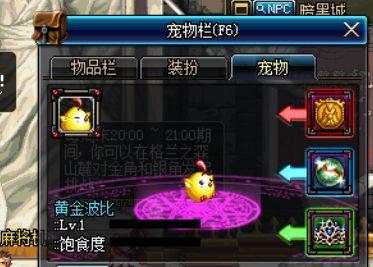 dnf奥兰奶奶宠物值得买不