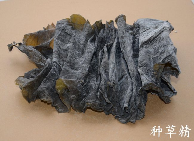小米生虫子处理小妙招