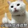 微信怎么知道单方面被删了