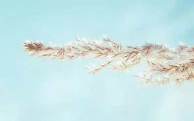 老公玩游戏妻子明智的做法