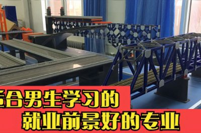 男生学什么技术最挣钱 职场新人必看：高薪职业技能推荐