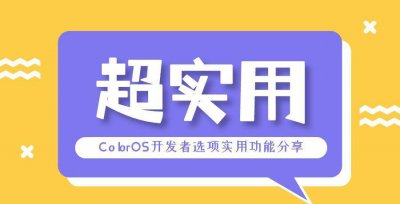 oppo手机怎么打开开发者选项 分享开发者选项实用功能