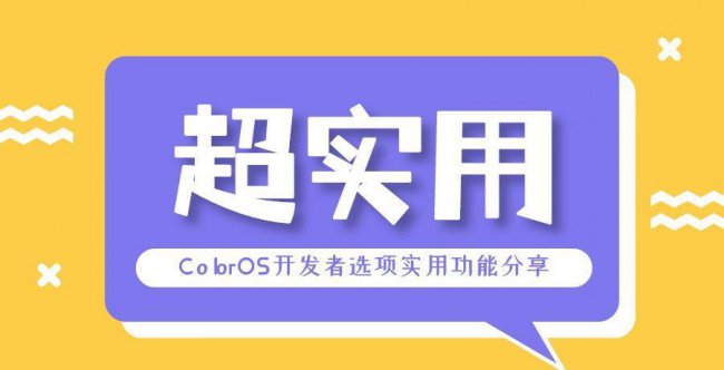 oppo手机怎么打开开发者选项