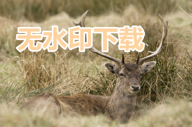 如何在抖音保存视频到相册