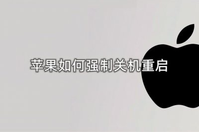 苹果强制关机怎么弄不能滑动 iphone强制关机方法