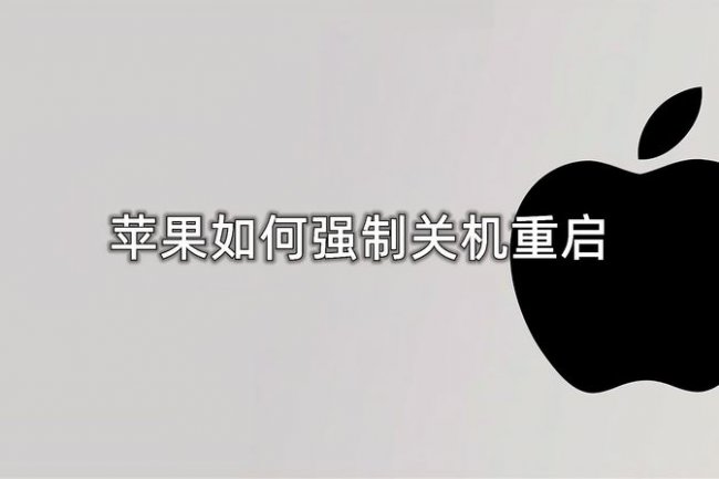 苹果强制关机怎么弄不能滑动