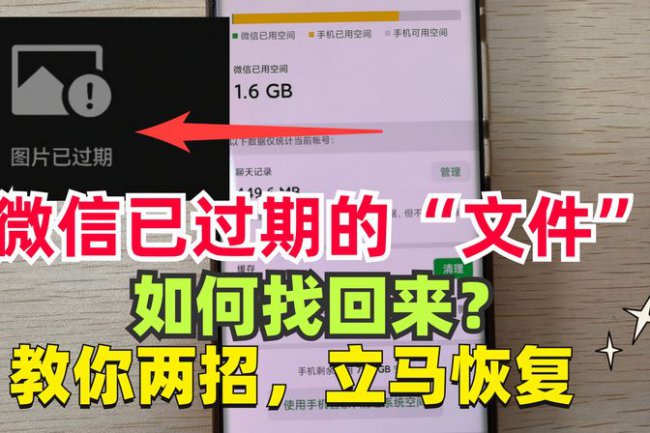 手机微信里的文件已过期或已被清理怎么恢复