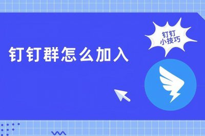 钉钉怎么加入企业团队的群组然后进行打卡