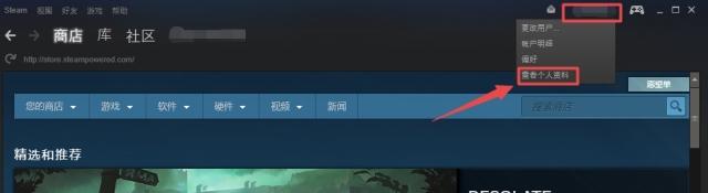 steam隐身功能