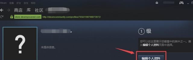 steam隐身功能