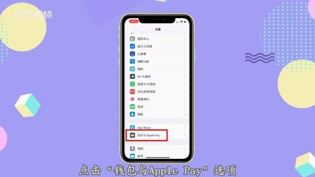 苹果x怎么下载不了软件