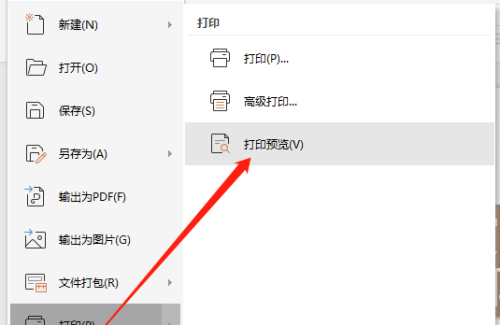 wps打印预览在哪里能看到打印标志